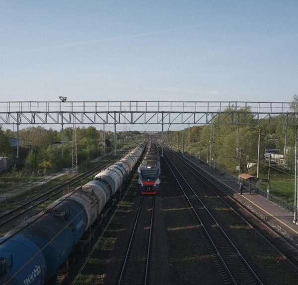 growth development online platform