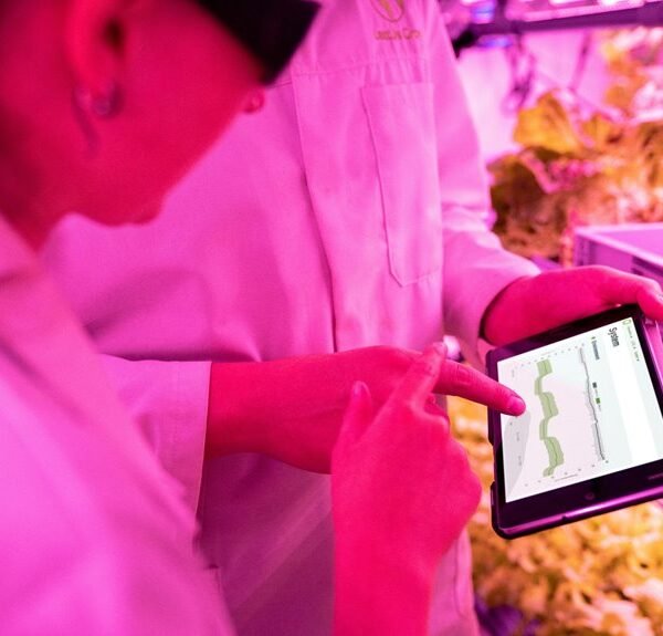 maximize digital growth tools